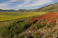 castelluccio 2 june 2013